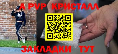 дурь Кингисепп