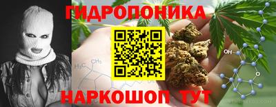 дурь Кингисепп